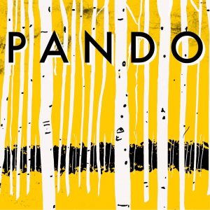 PandoThumbv2 PandoThumbv2